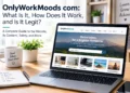 OnlyWorkMoods com