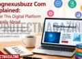 Magnexusbuzz Com