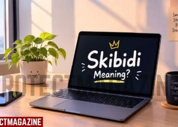 Skibidi Meaning